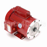 116488 Leeson Motor