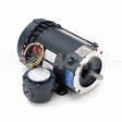 116605 Leeson Motor