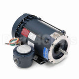 116607 Leeson Motor