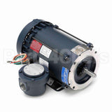 116607 Leeson Motor