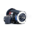 116615 Leeson Motor