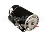 116818 Duke Asy,Left Pump