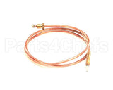 1170039 Axis Safety Thermocouple