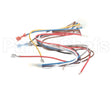1171698 International Comfort Pro Wire Harness