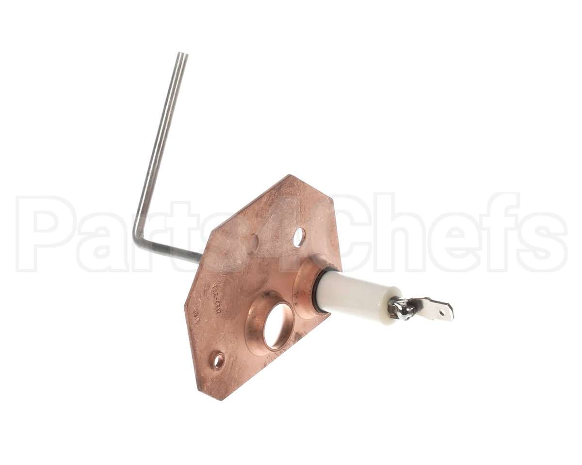1173830 International Comfort Pro Sensor Flame