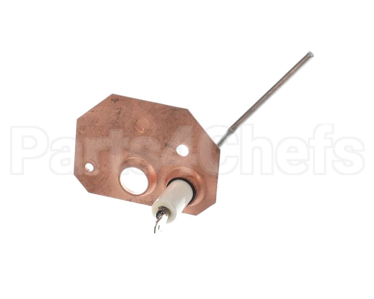 1173830 International Comfort Pro Sensor Flame