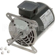 1175568 Compatible Southbend Motor, Convection Oven - 208/240V