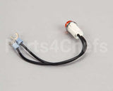 1176650 Southbend Range Light Assembly,120V