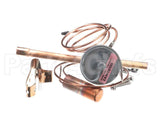 1176871 International Comfort Pro Valve Txv 6.0 Ton R410A