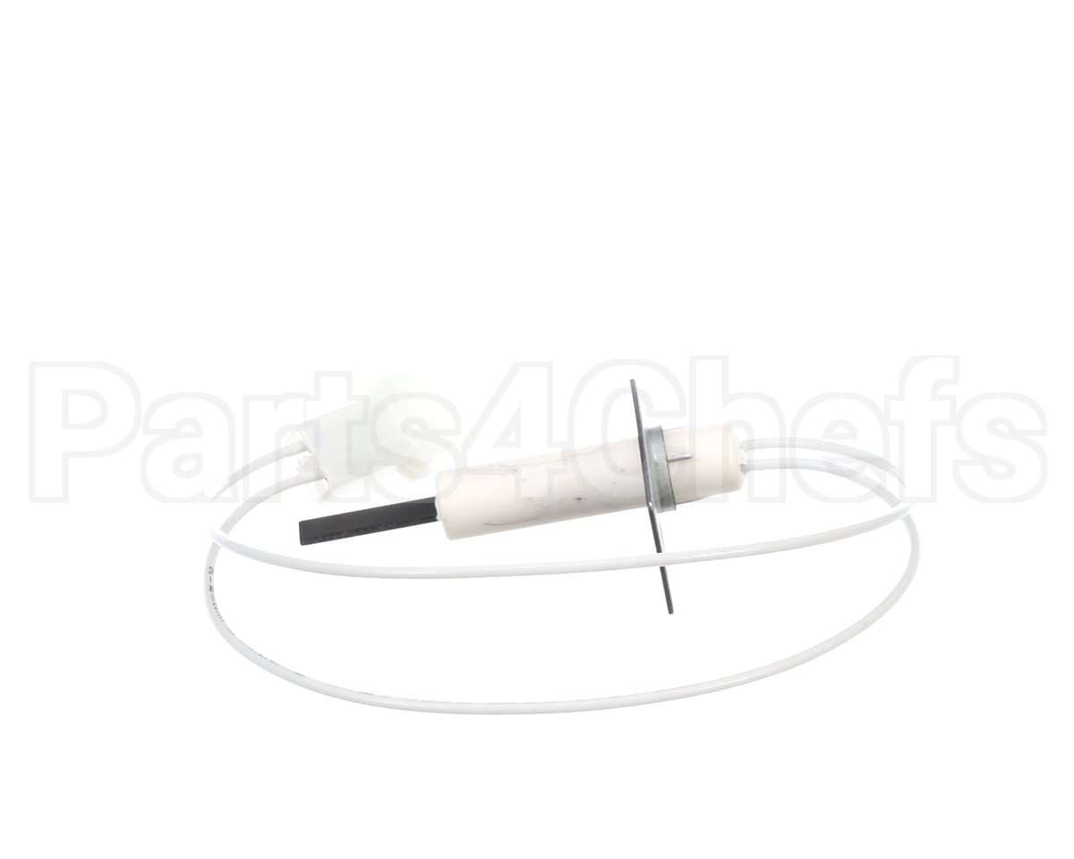1176919 International Comfort Pro Igniter