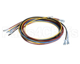 1178229 International Comfort Pro Harness Assembly Ifm