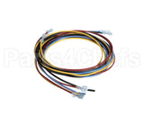 1178229 International Comfort Pro Harness Assembly Ifm