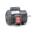 117865 Leeson Motor