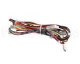 1178944 International Comfort Pro Harness Assembly Clo1/Comp2