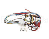 1178976 International Comfort Pro Harness Assembly Ecmx