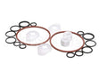 1183450 Stoelting Minor Tune Up Kit