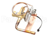 1183516 International Comfort Pro Kit Txv (Valve)