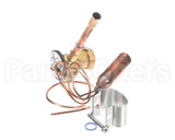 1186998 International Comfort Pro Kit Txv (Valve)
