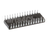 118812 Groen Prom (Cc20-G)
