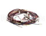1188380 International Comfort Pro Harness Assembly (Yac Ctrl)