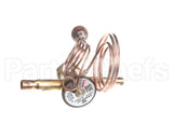 1191308 International Comfort Pro Valve, Txv