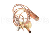 1191309 International Comfort Pro Valve, Txv