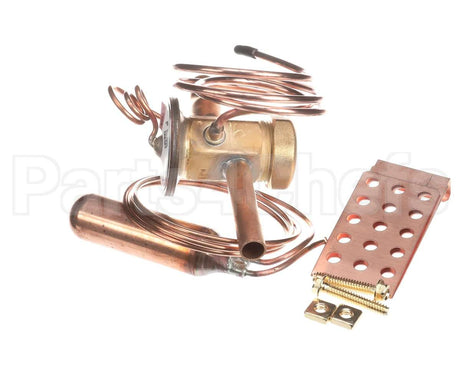 1192284 International Comfort Pro Valve Txv