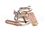 1192605 International Comfort Pro Kit Txv (Valve)