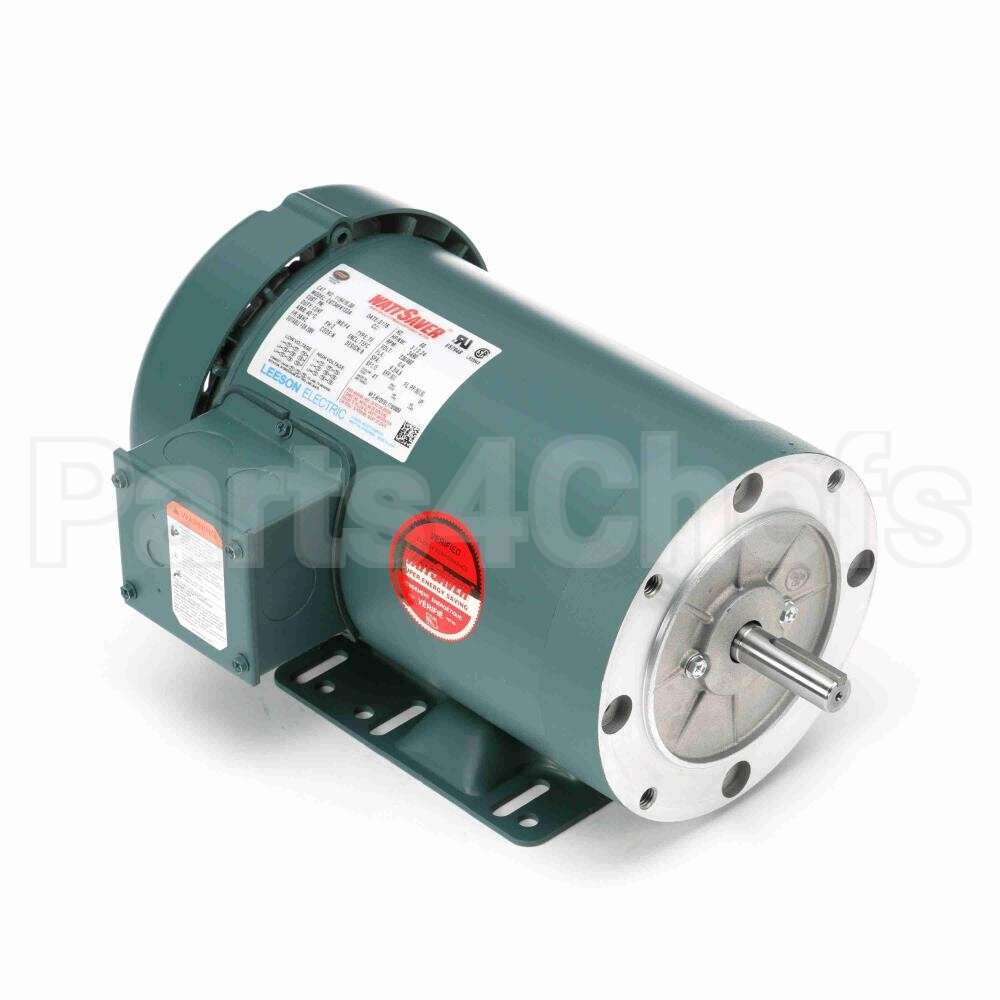 119418 Leeson Motor