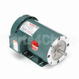 119418 Leeson Motor