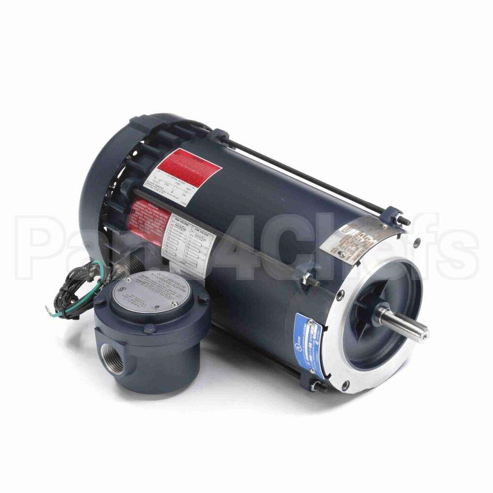 119423 Leeson Motor
