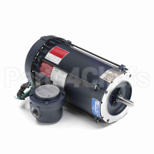 119423 Leeson Motor