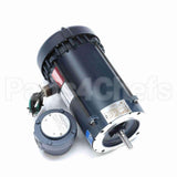 119428 Leeson Motor