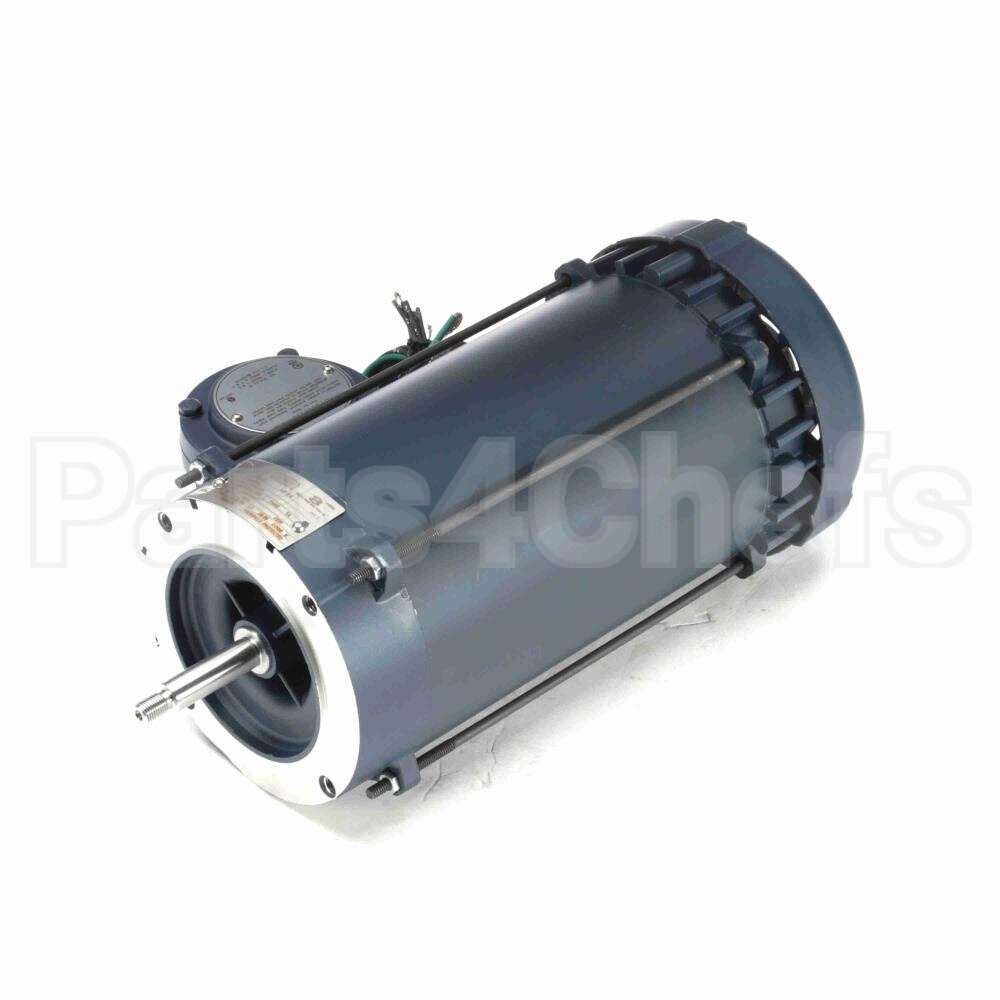 119434 Leeson Motor