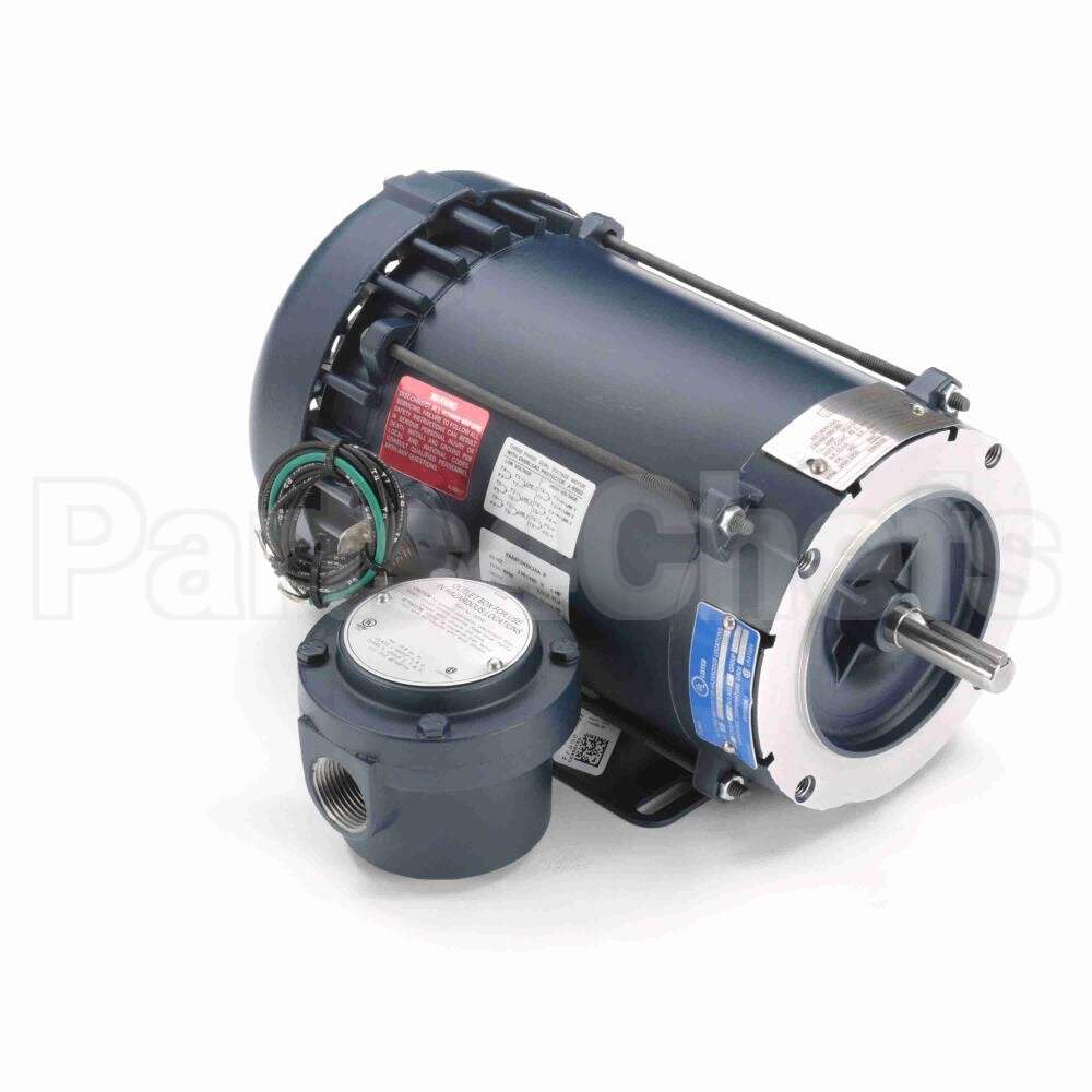 119436 Leeson Motor