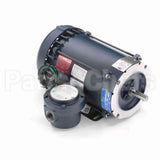 119436 Leeson Motor