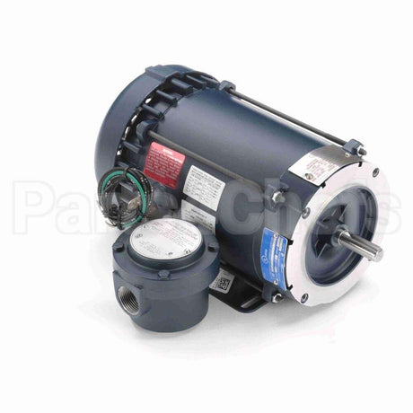 119436 Leeson Motor