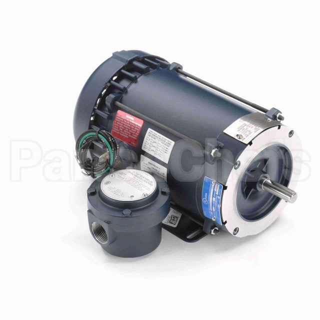 119436 Leeson Motor