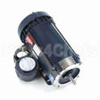 119440 Leeson Motor