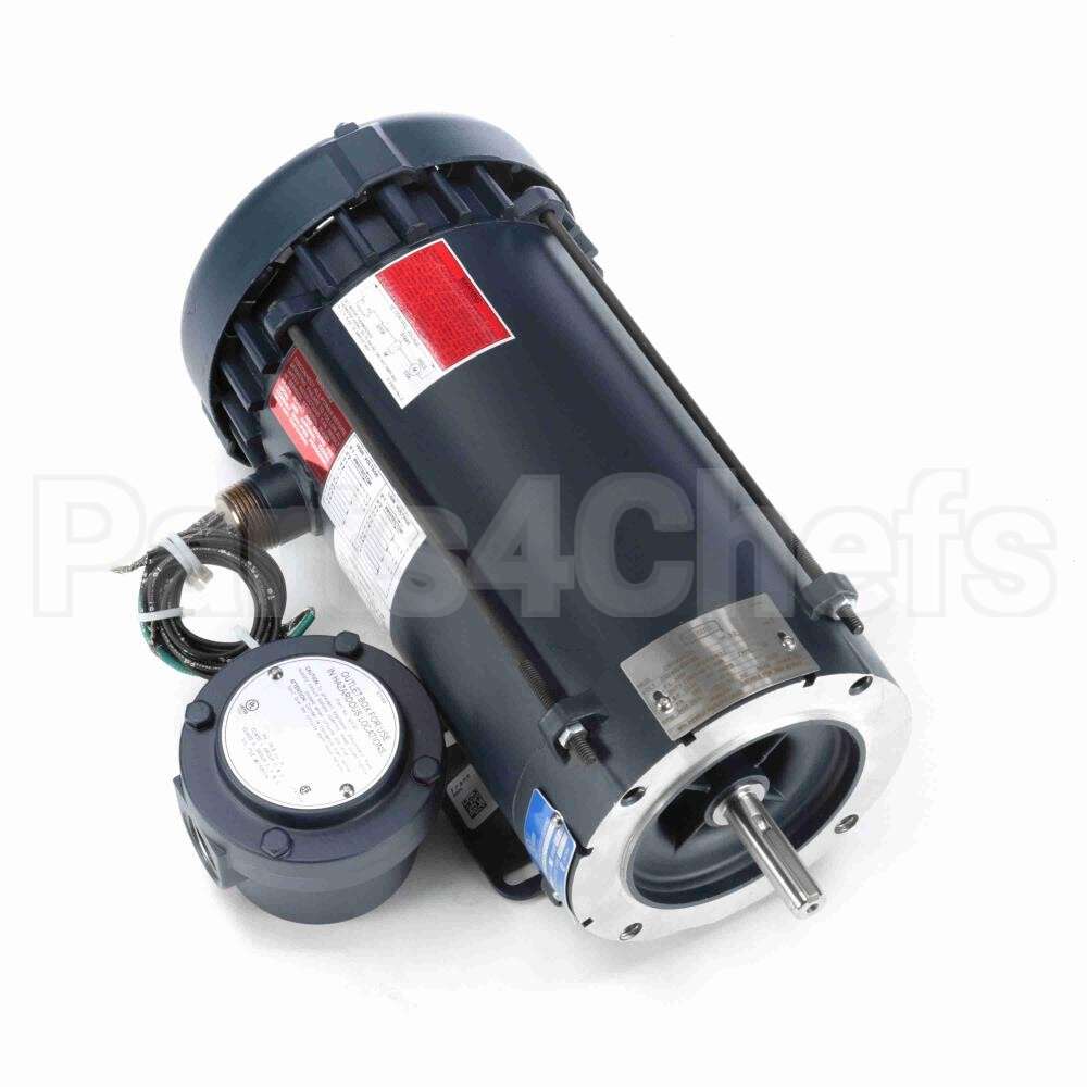 119443 Leeson Motor