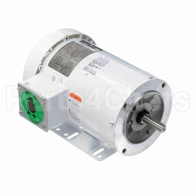 119476 Leeson Motor