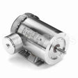 119491 Leeson Motor