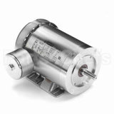 119491 Leeson Motor