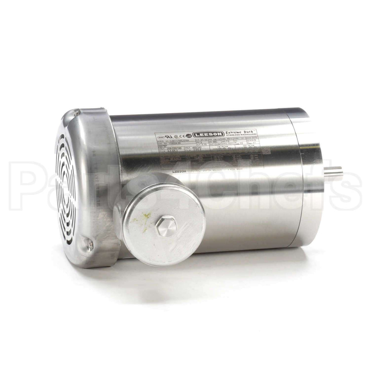 119524 Leeson Motor