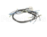 1195323 Southbend Range Control Harness, Wendys Elect