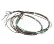 1195324 Southbend Range Main Harness, Wendys Elect