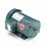 119540 Leeson Motor