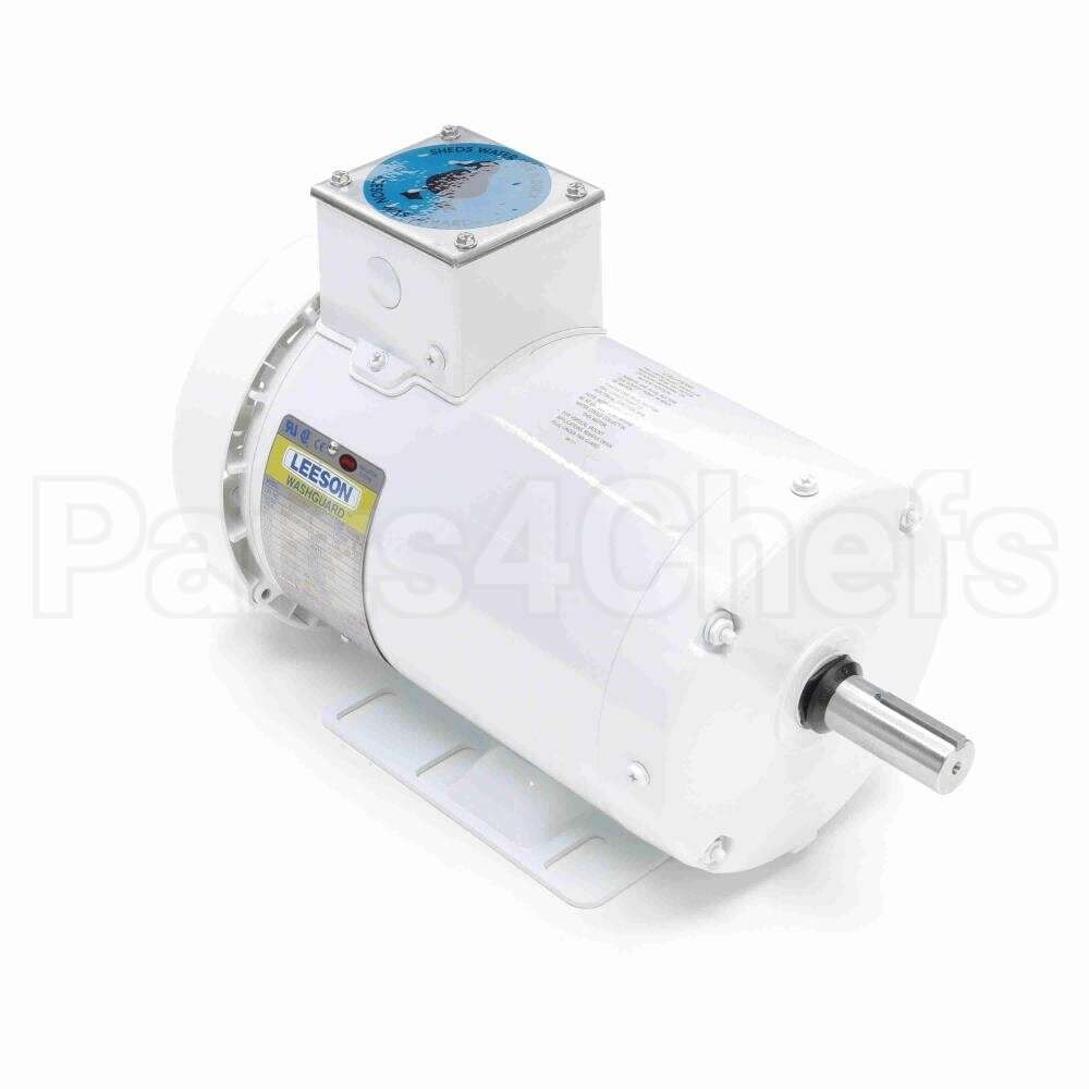 119783 Leeson Feather Picker Motor