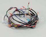 119857 Groen Harness, Control