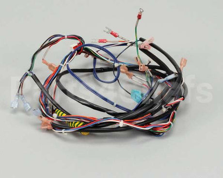 119857 Groen Harness, Control